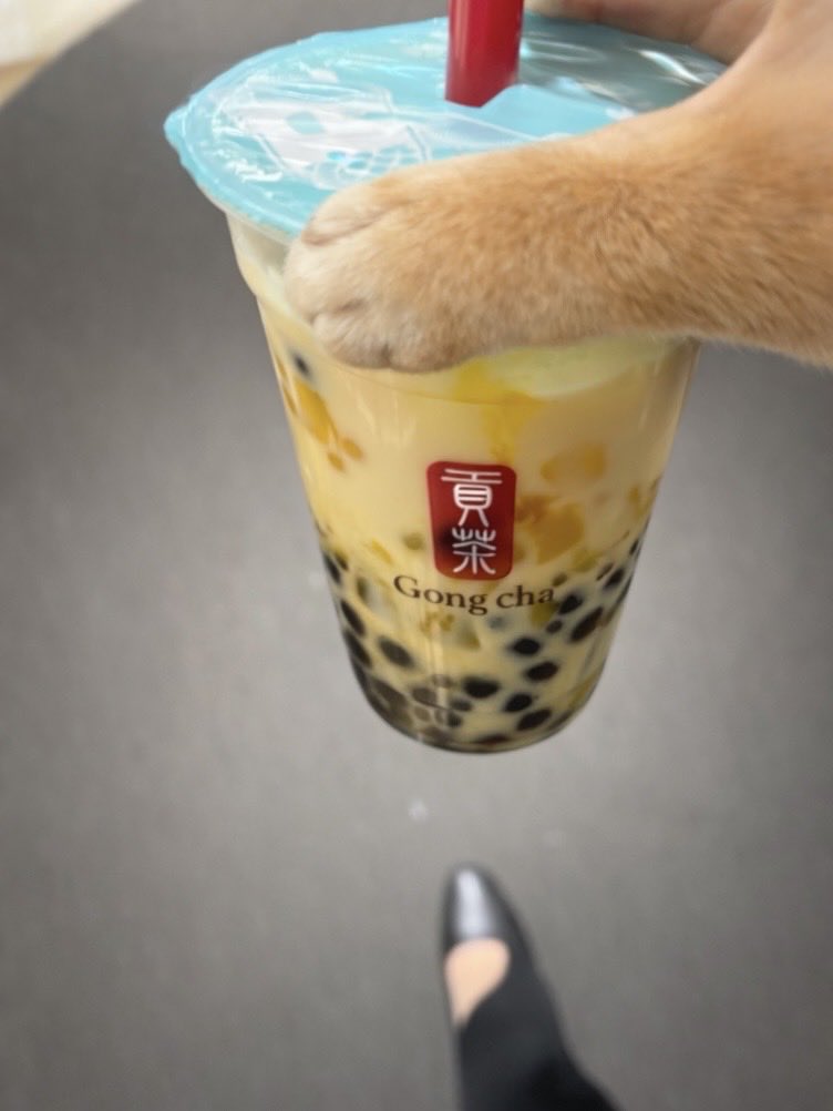 𝘓𝘶𝘭𝘶 tweet media