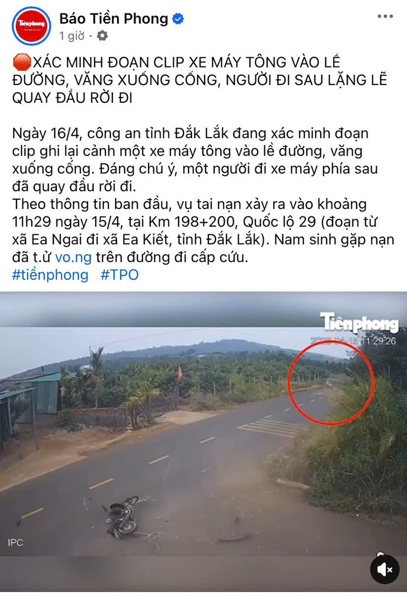 GesaraNesara tweet media