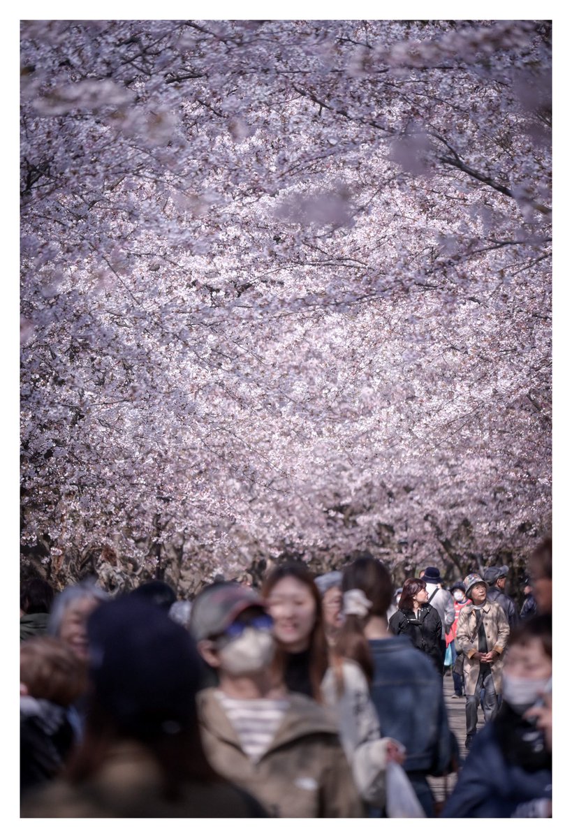 蒼生@青鉄 tweet media