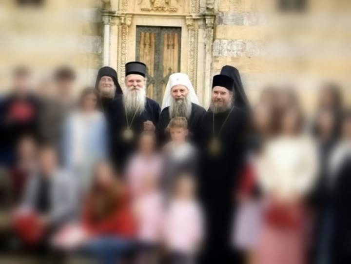 Ortodox_Serb's tweet photo. Ви сте наша пропаст. Вуци у јагњећој кожи. Гори сте од Куртија. Он је јавно и поштено наш непријатељ. Ви глумите да сте Срби, Православци, наши пријатељи, браћа. Ви сте у ствари, окупатори Трона Св. Саве. Узурпатори наше Свете Цркве. Велеиздајници. Кољачи наших вечних душа. Продавци наших светиња. Једном речју ви сте зло.
И јадан овај ГЛУП народ којег варате сваки дан.
Али нећете још дуго...

✍️ Глас Косова и Метохије