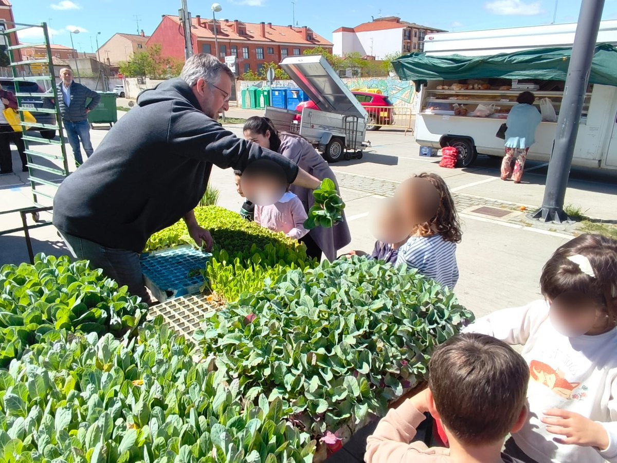 CEIP PEDRO I tweet media