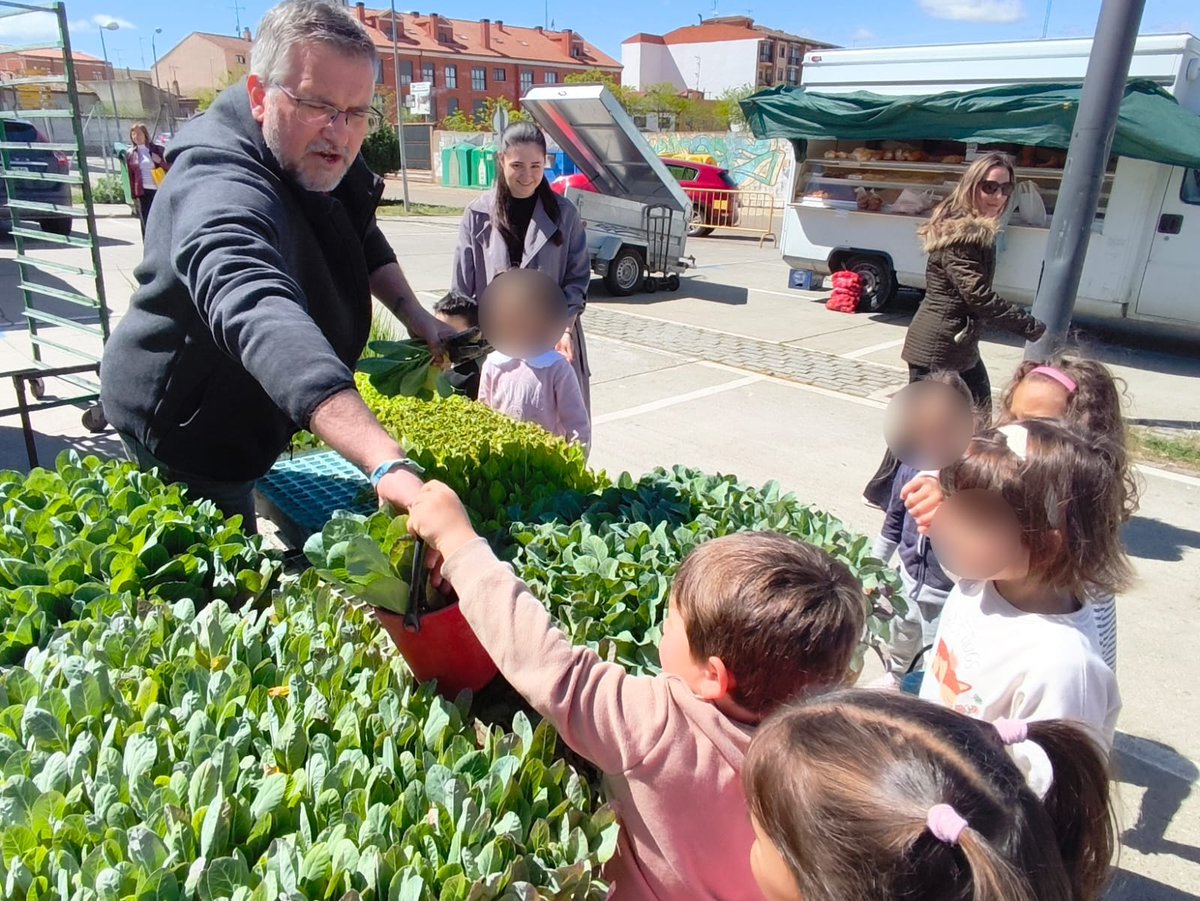 CEIP PEDRO I tweet media