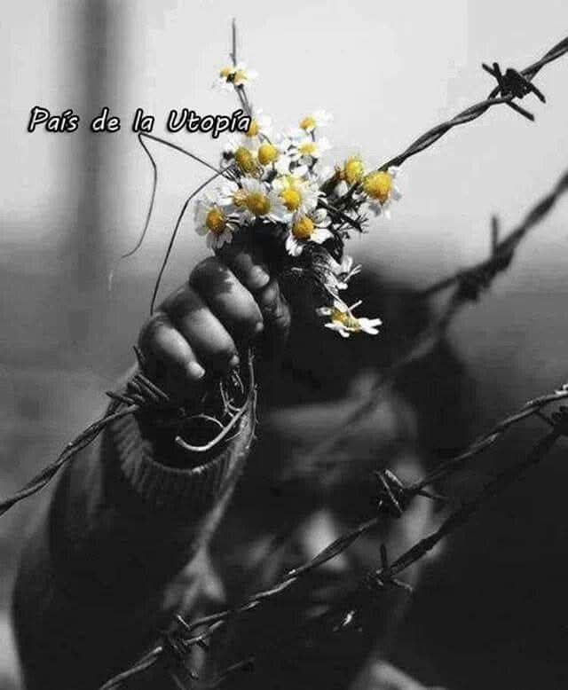 Lidia YNDA tweet media