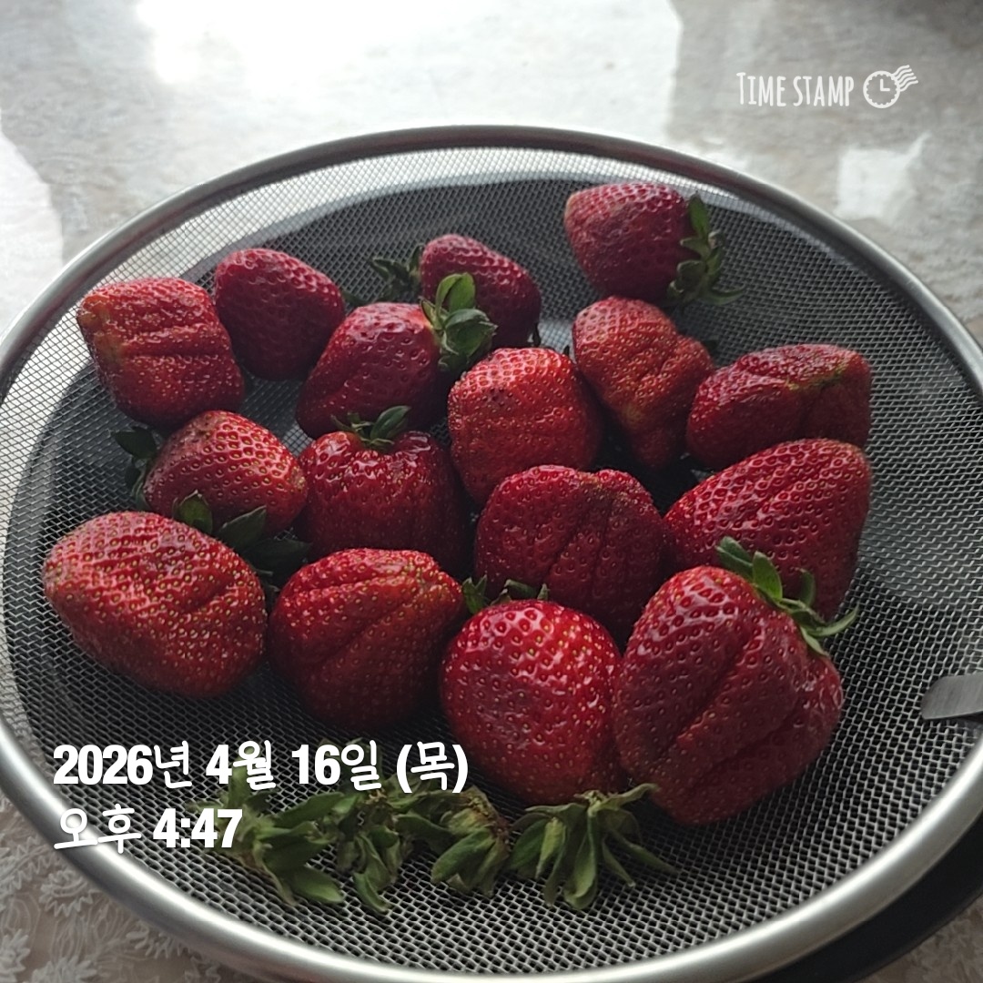 하데스돌깰때까지집에안간다 tweet media