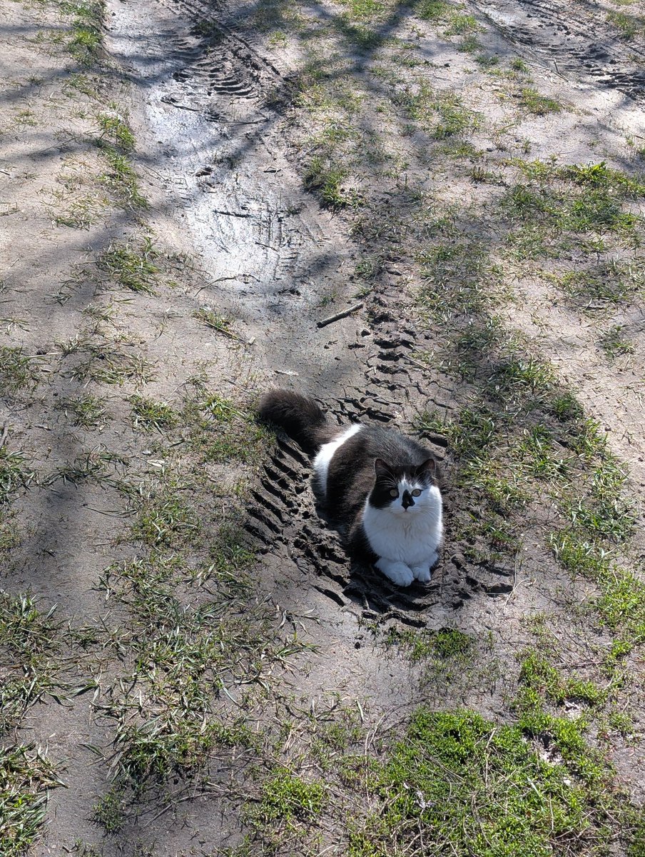 Придурченко ліг в найбрудніше й найвологіше місце, яке знайшов 🙄

Відгадайте, до потім полізе тертись в спальник?😑
