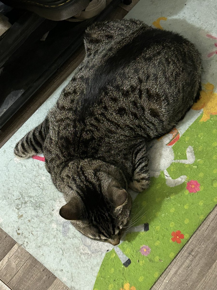 𝓙𝓾𝓵𝓮𝓼 🇵🇸 tweet media