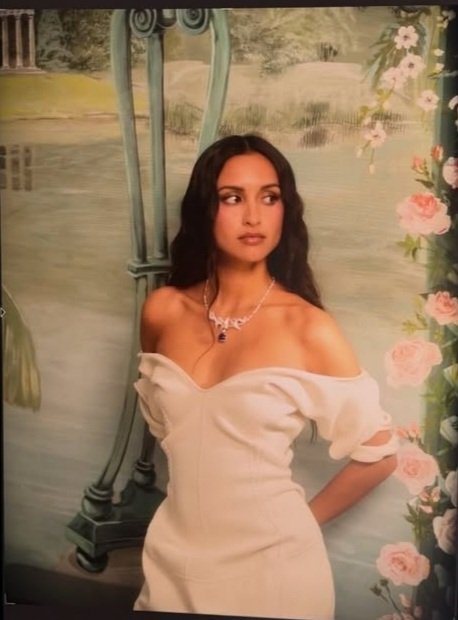 temporary tweet media