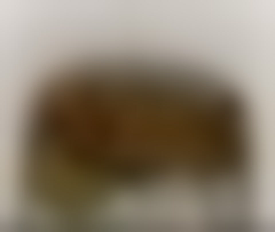 AlphaBigD_'s tweet photo. I just posted new content on Scatbook. You can see it at https://t.co/LvXcGV2d6a https://t.co/Gr03kAVQ5c