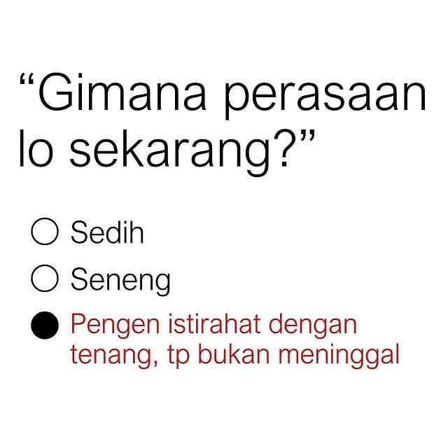 yauda maap tweet media