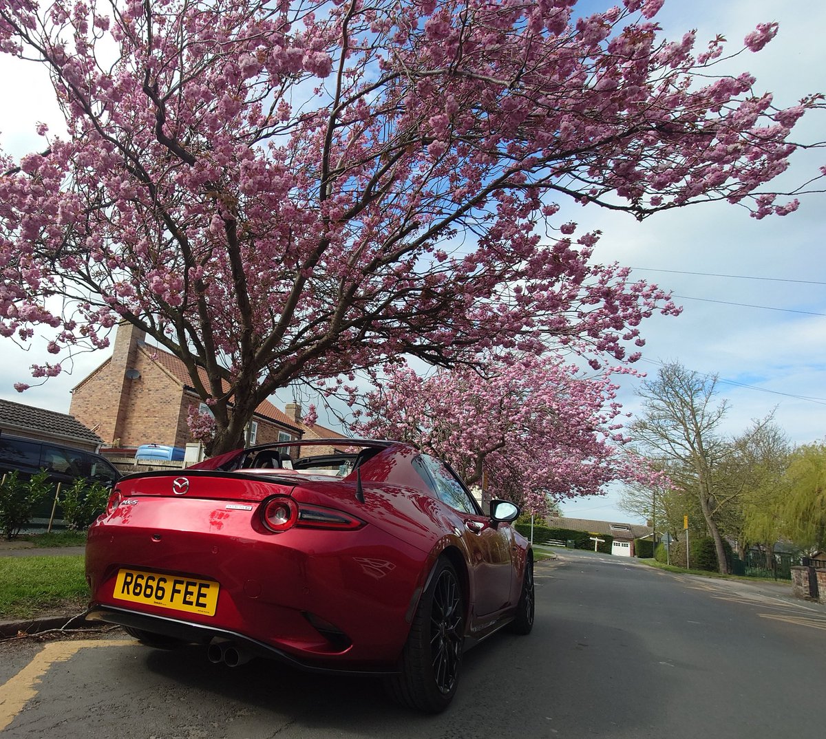 I'm__only_sleeping__! tweet media