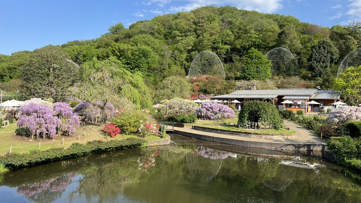 那須男 塩原 tweet media