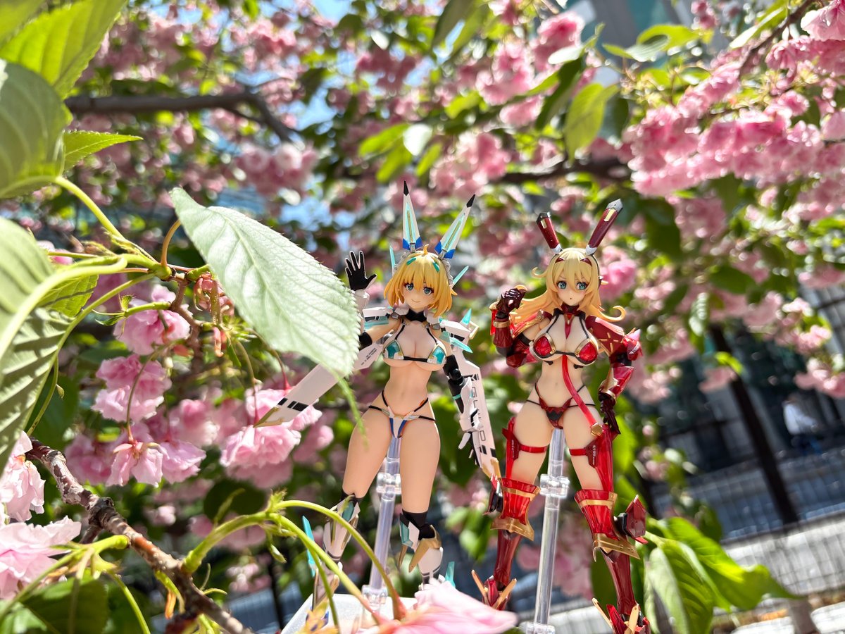 マックスファクトリー 公式 tweet media