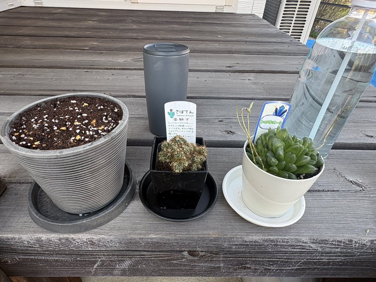 玉木瑶(たまきよう)🔮🥃BackStage専属キャスト tweet media