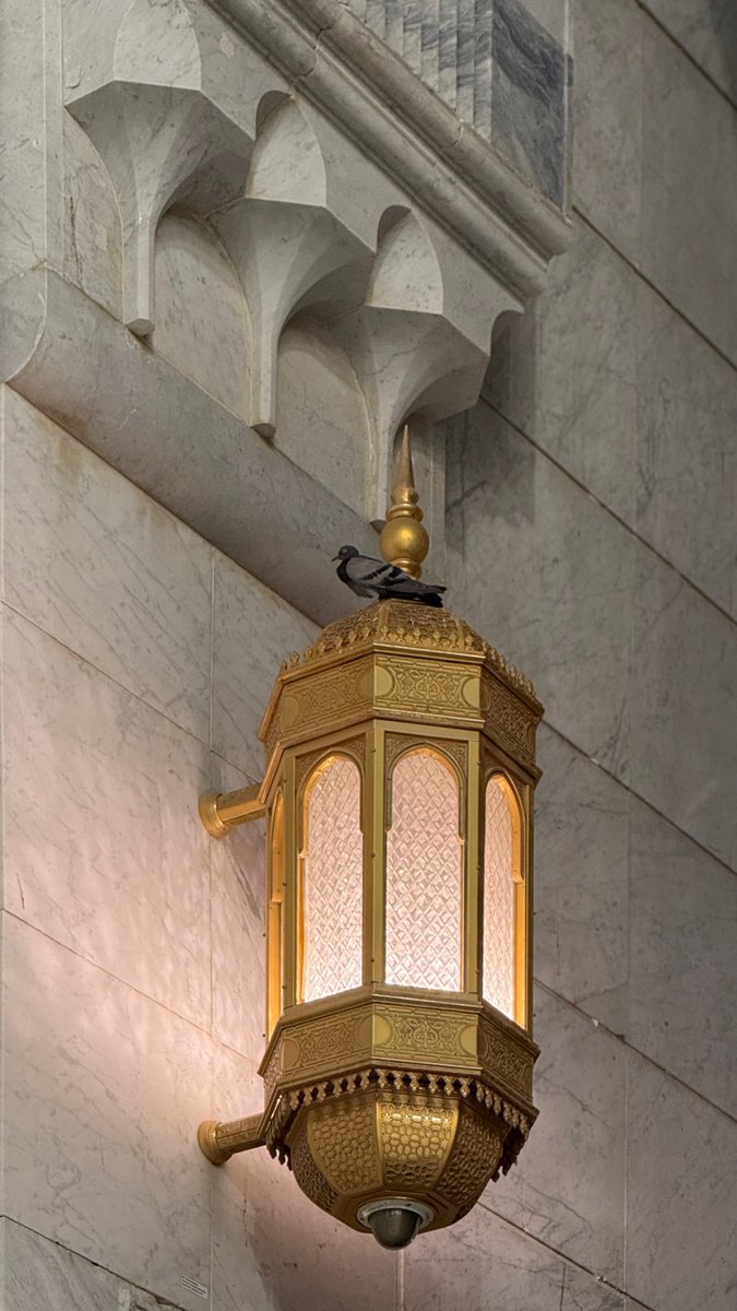 عَـائِـشة ابنة الحرم المكي🕋💕 tweet media