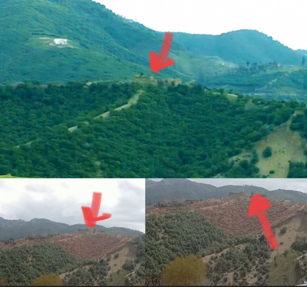 Pashtun Tahafuz Movement tweet media