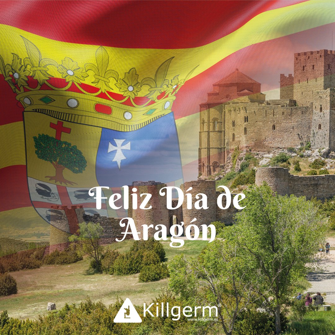 KillgermSA's tweet photo. ¡Feliz día para todos nuestros clientes y amigos aragoneses! https://t.co/GpeNgGZete