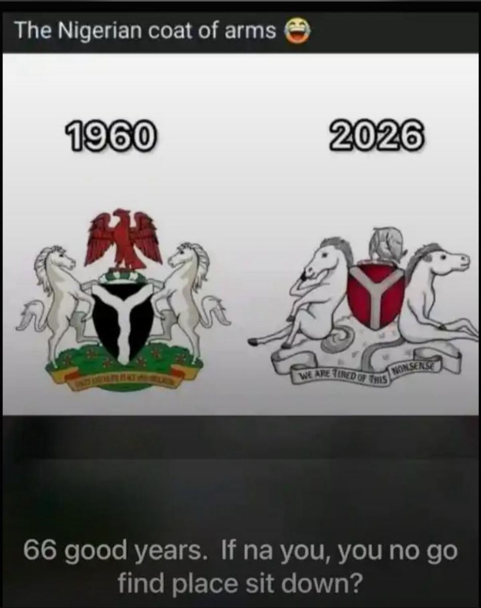 Vecthor Tips tweet media