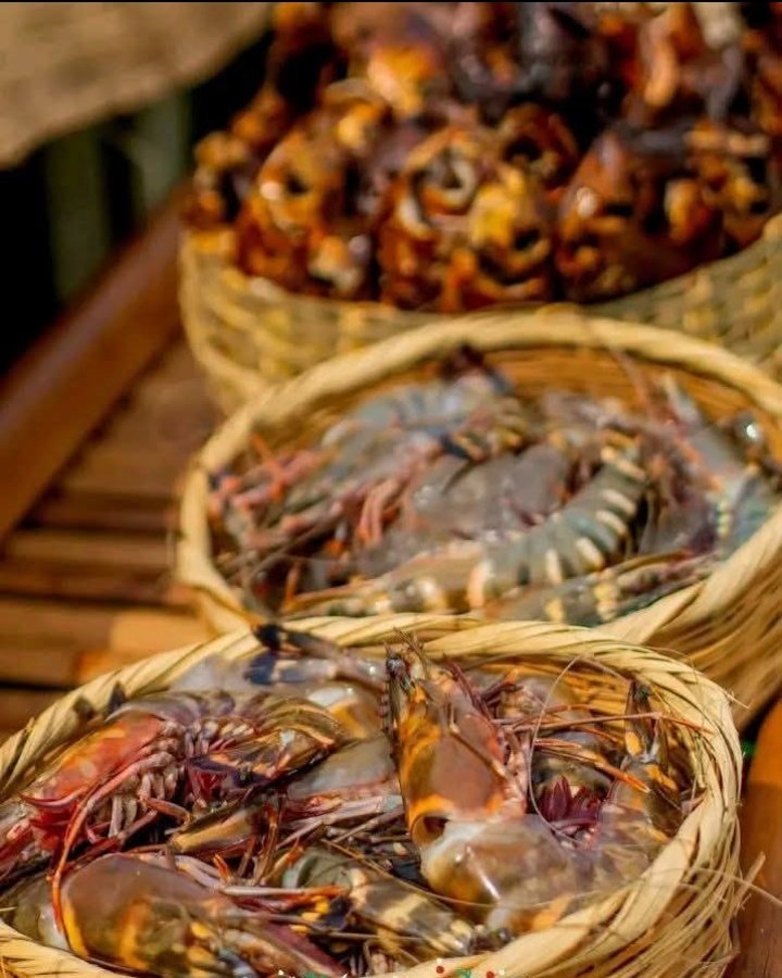 Imelda-Efa Takon🦋 tweet media