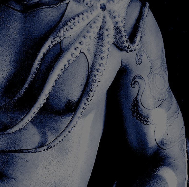 𝕾𝗘𝗔 𝗟𝙾𝗥𝗗 . tweet media