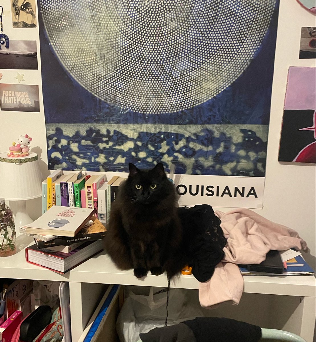 stargirl Muppet la plus mimi tweet media