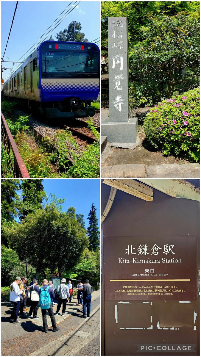 どんらく® tweet media