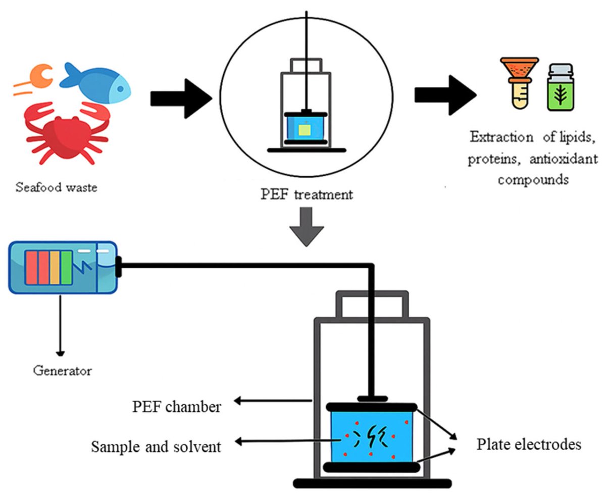 Dietetics_MDPI's tweet image. New Review in #Dietetics 🐟♻️
Enhancing Product Value and Energy Efficiency in #Seafood By-Product Processing Using Pulsed Electric Fields: A Critical Review
✍ Gulsun Akdemir Evrendilek
Full paper: mdpi.com/2674-0311/5/2/…
 #PEF #SustainableFood #FoodTech #CircularEconomy