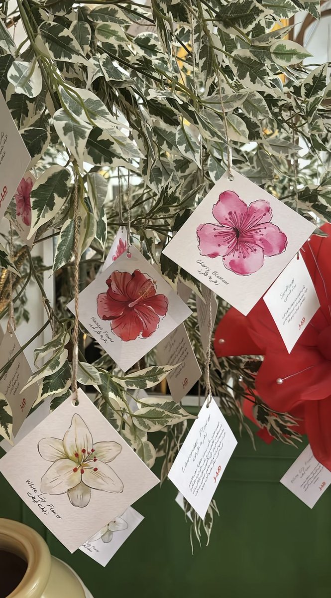 ݁˖𖥔𝑳𝑨𝑴𝑰𝑹𝑨‏ ݁˖𖥔 tweet media