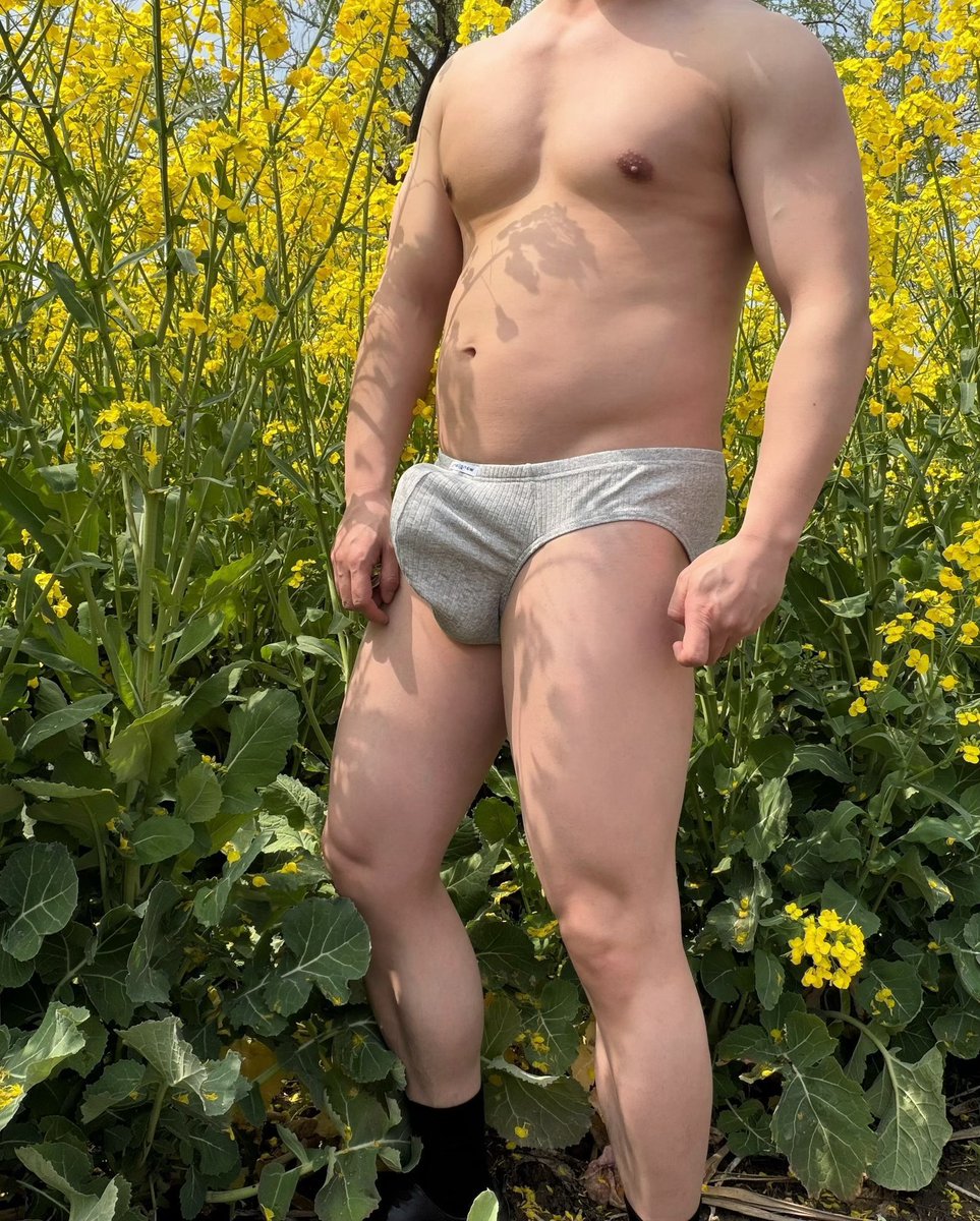 陈警官👮 tweet media