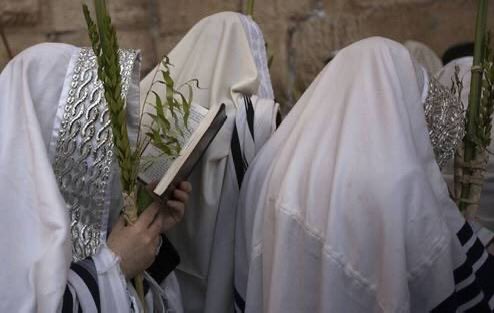 Hamza Çiçek tweet media