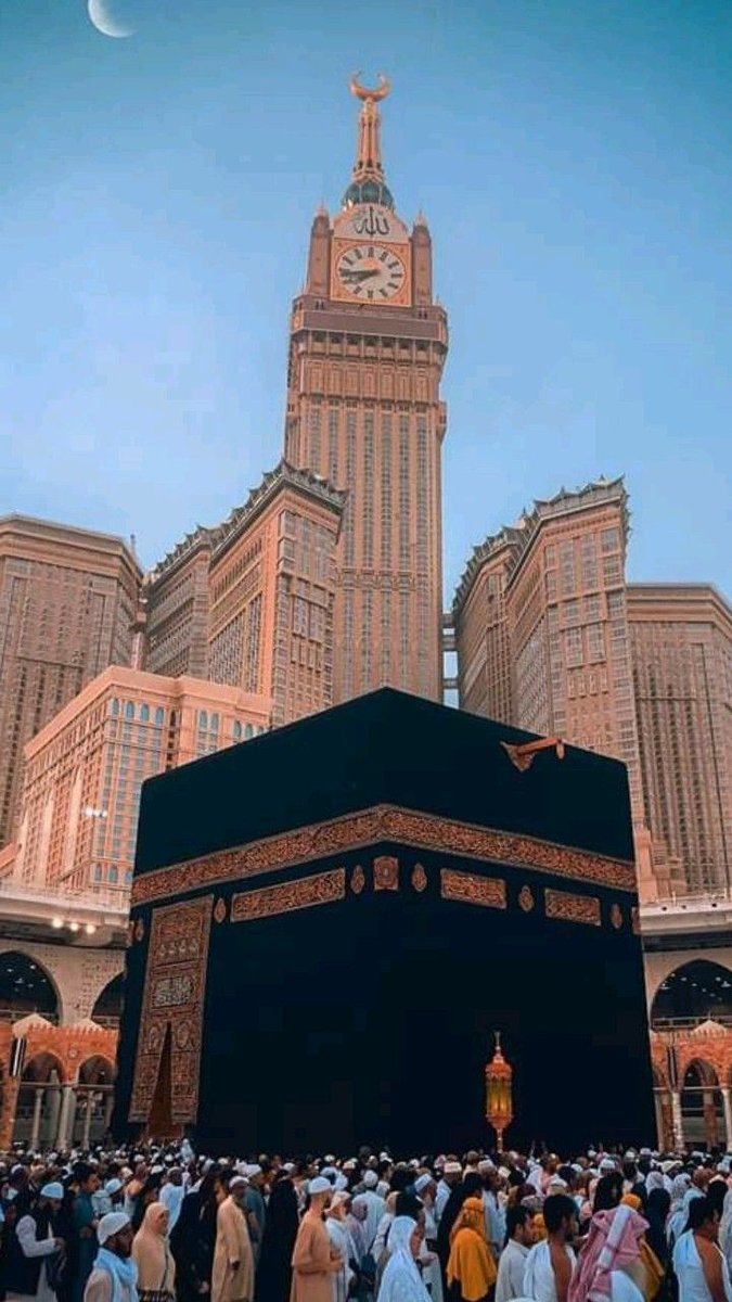 ^Reader Bird^ tweet media