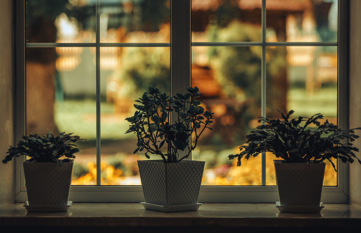 Jayant Parkash tweet media