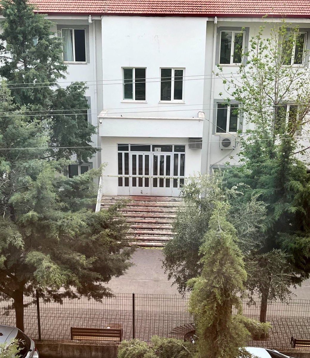 ayşenur tweet media