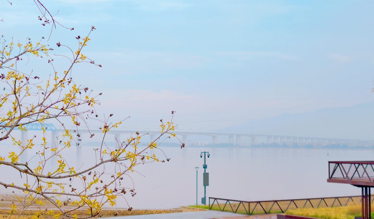 InJiaojiang's tweet image. Jiaojiang’s riverside is blooming with life this April! The newly renovated public space is the perfect place to relax, enjoy nature, and soak in the spring air. 🌳🌼 #InJiaojiang #SpringVibes #UrbanRevitalization #JiaojiangRiverside #PublicSpaces #AprilInChinae