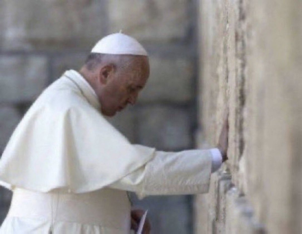 Jews Vult✋🏻 tweet media