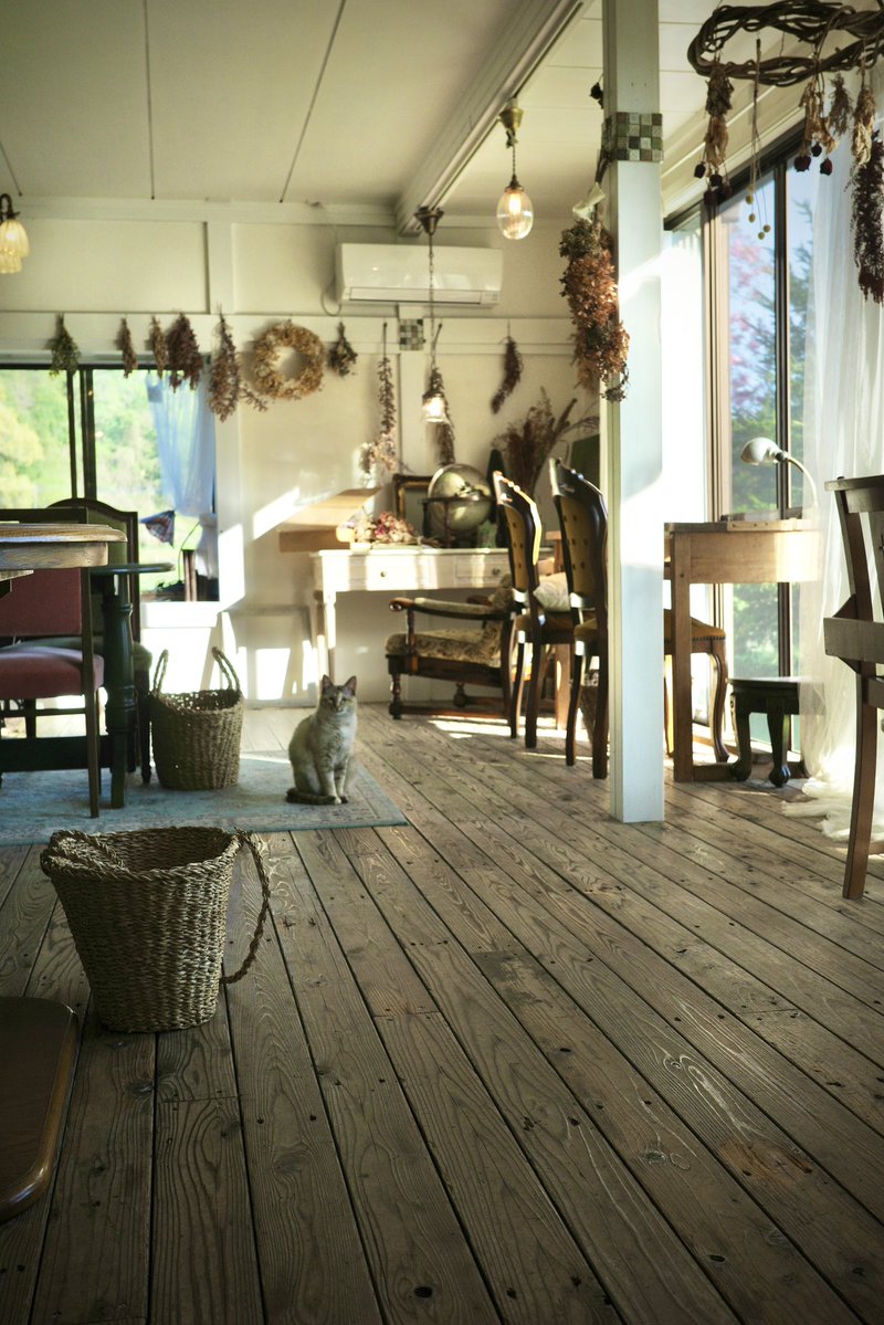 ミキオ tweet media