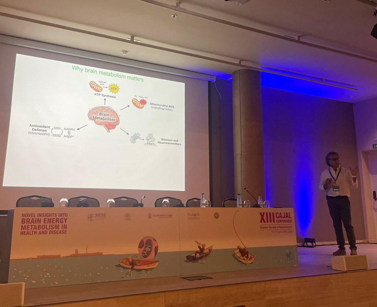 SENC_'s tweet image. 🧠 Ya está en marcha la segunda jornada de la #CajalConference2026 en Cádiz

Hemos comenzado con la charla plenaria de @bolanosjuanp  (@usal): “Brain metabolism and cognition: beyond mere energy”. 🔬

#CajalConference #Neurociencia @JovInvest_SENC
