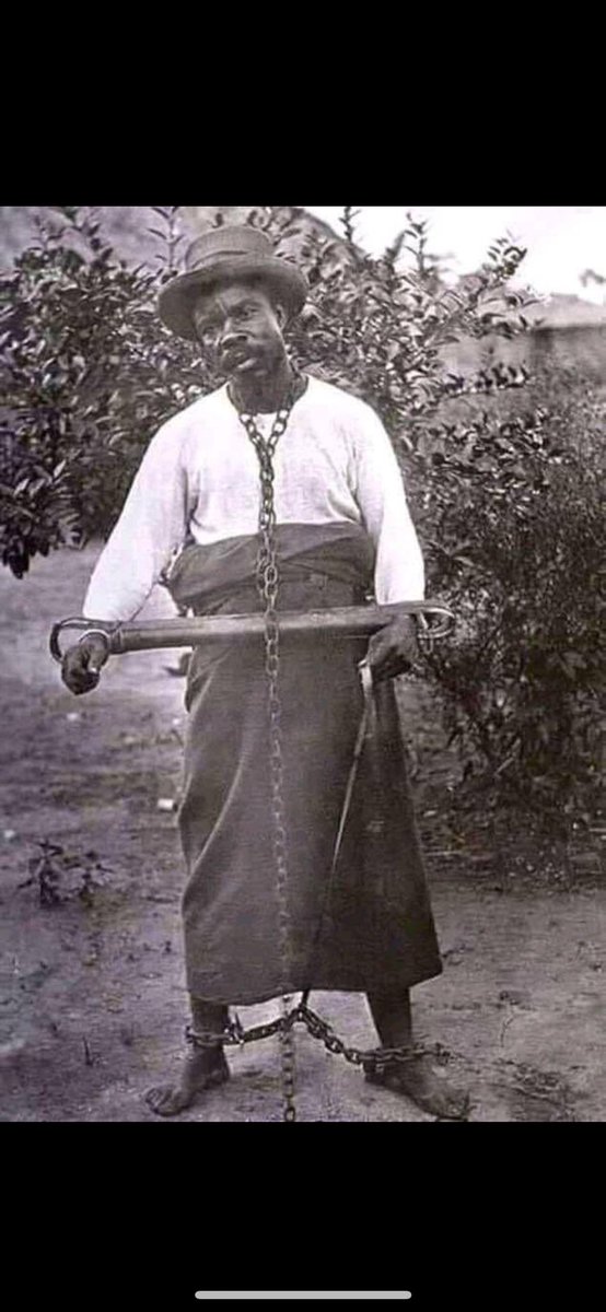 Eurydice tweet media