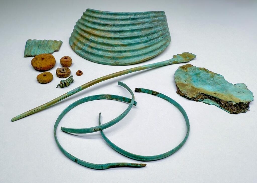 DAntiquis's tweet image. A wind farm survey near Wolfenbüttel in Lower Saxony has uncovered a surprisingly rich prehistoric landscape, including early Neolithic houses, Roman-period ritual deposits, and a rare Bronze Age jewelry hoard.

arkeonews.net/bronze-age-jew…

#Archaeology #BronzeAge #Germany