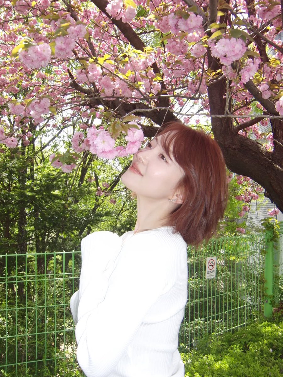 Lee Se Young Content tweet media
