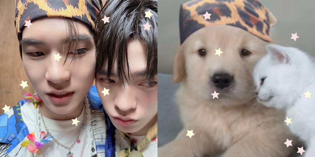 ݁별݂♡ཾ tweet media