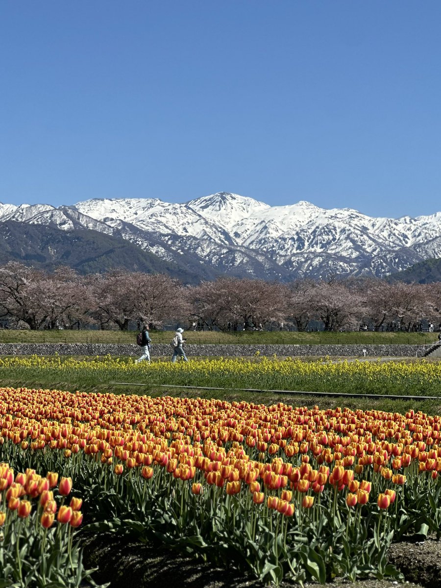 民泊たなごころ tweet media