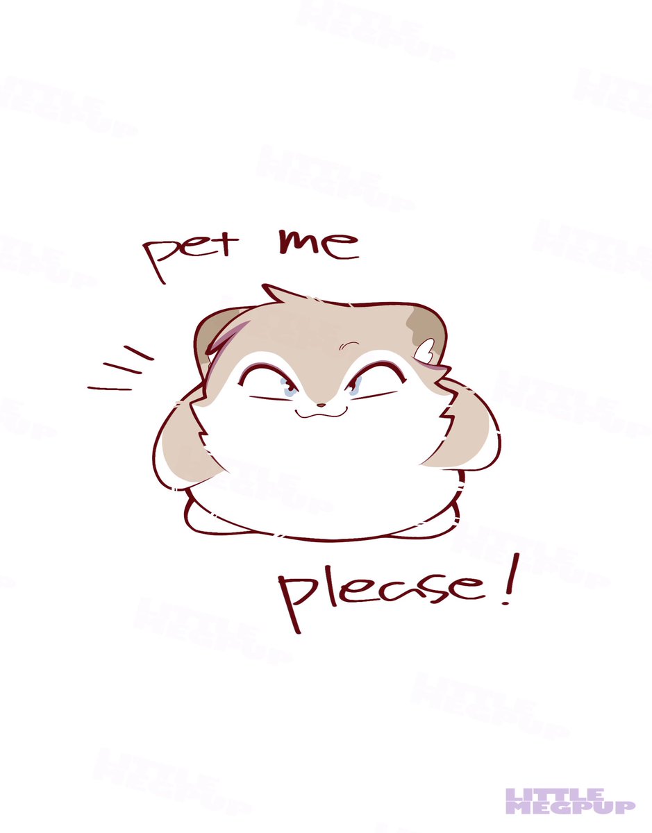 Little Meg tweet media