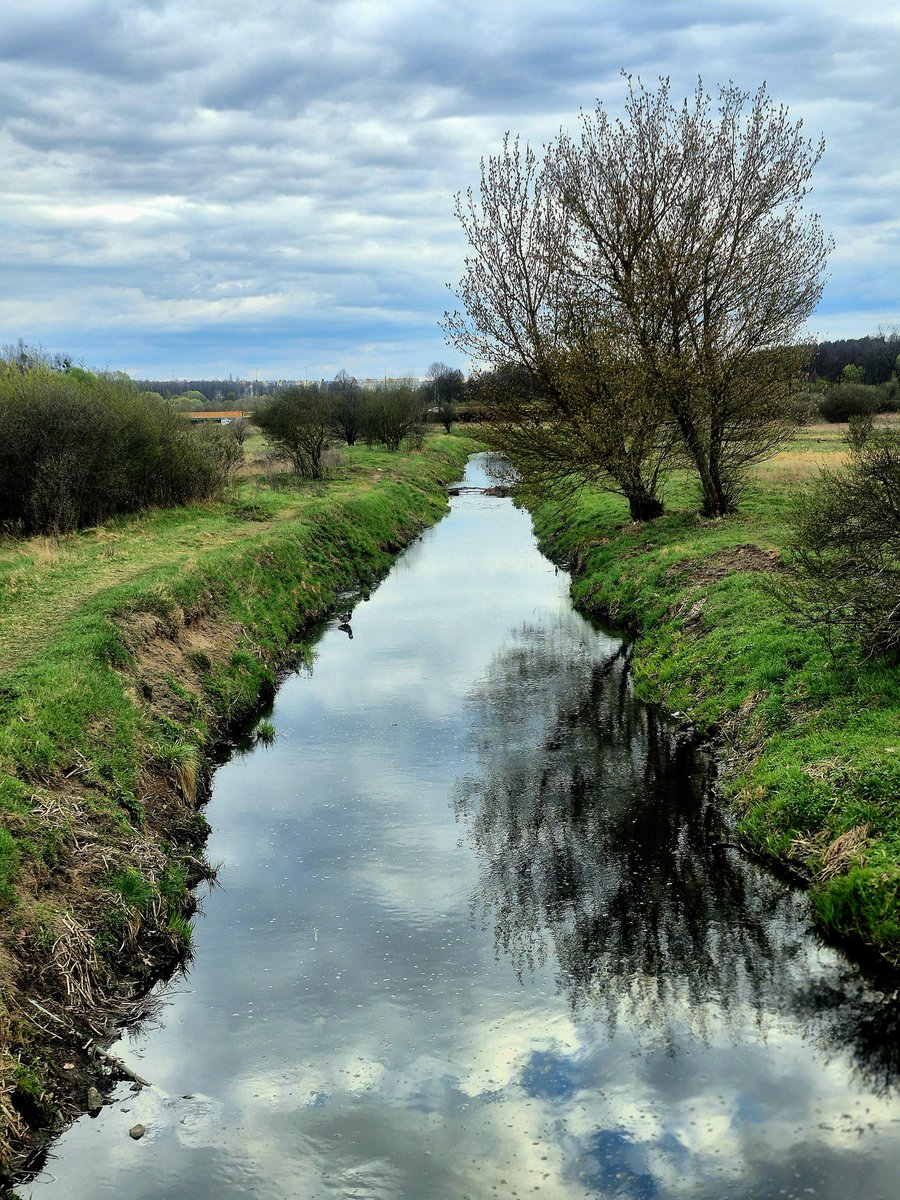 GRACE666🇺🇸🇳🇴🇵🇱🌍💙🦋🎼📷🎨📚🎥🏛 tweet media