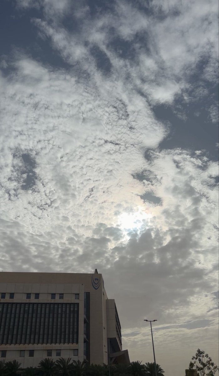 نوف التويجري tweet media