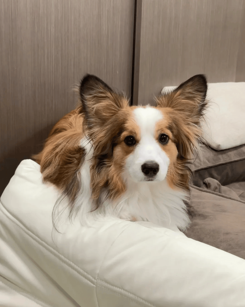 terry williams tweet media