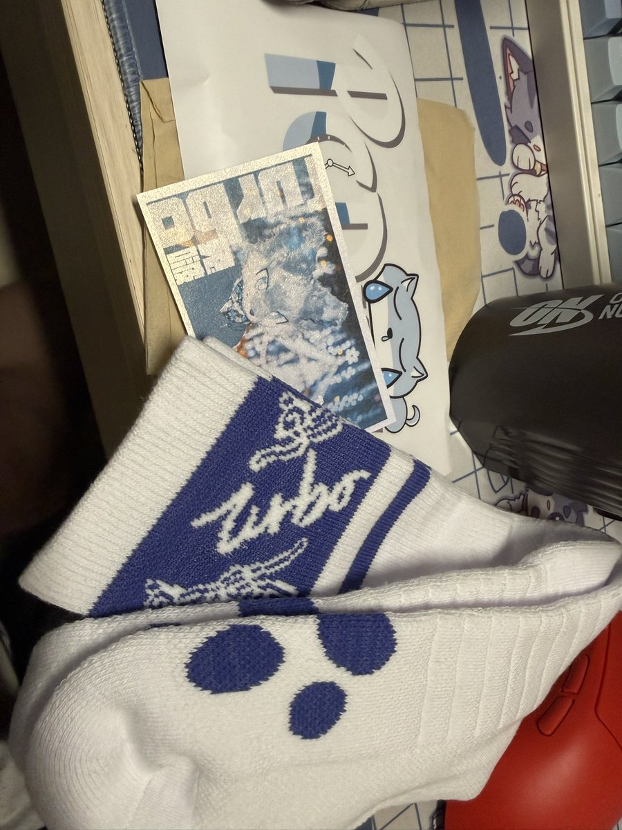 嘉禾🔜乞讨 tweet media