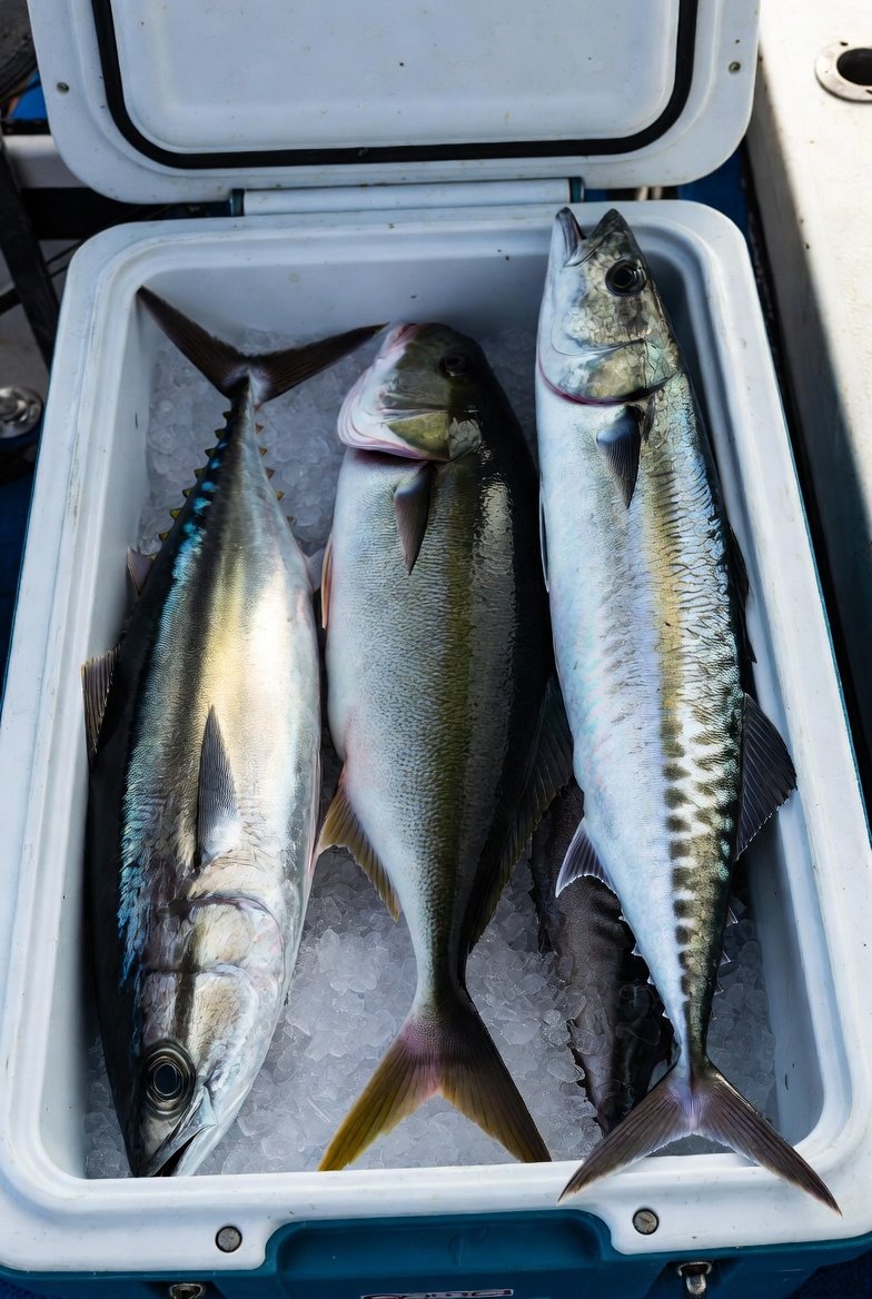 泣き笑い🎀 tweet media