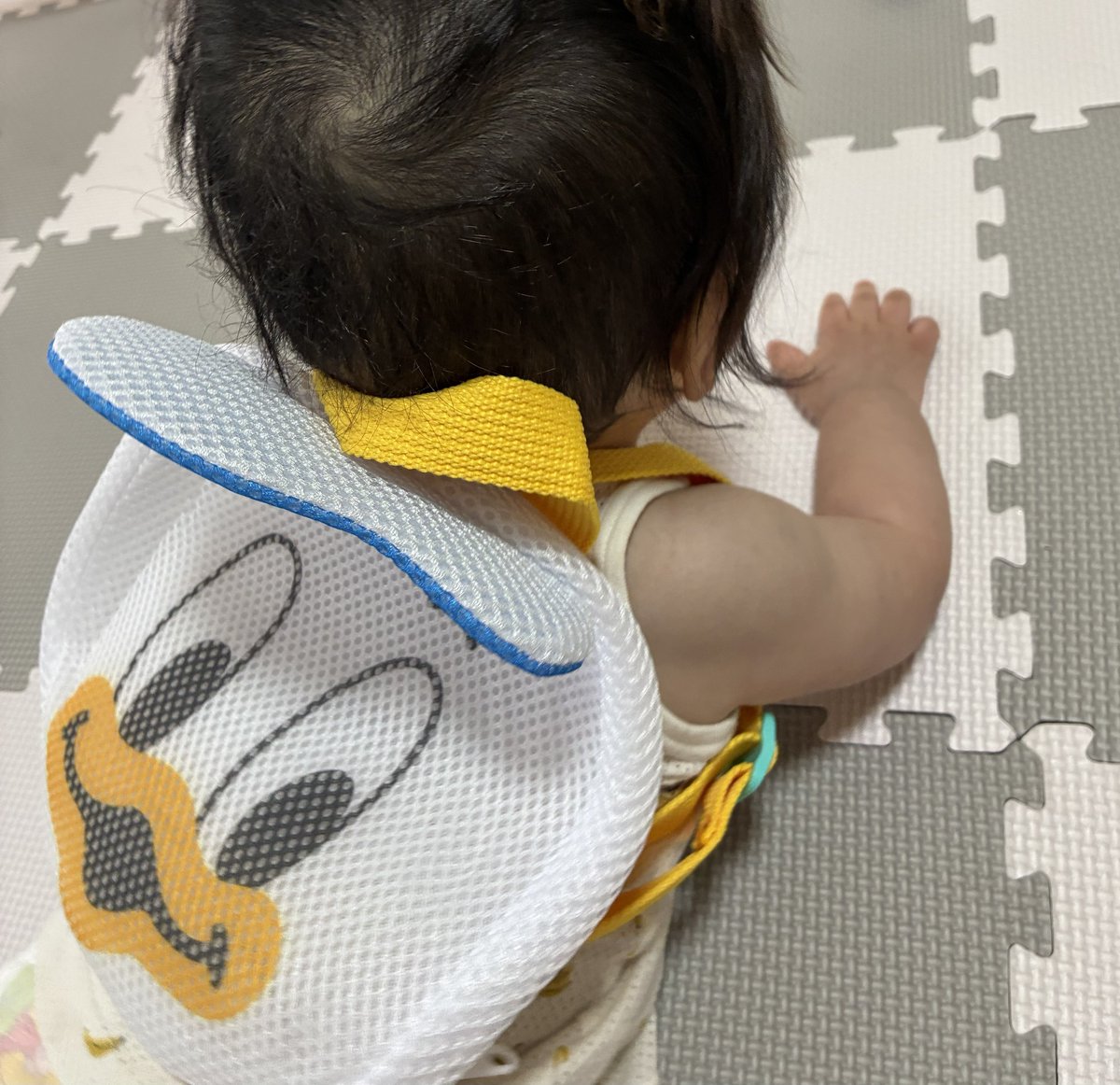 るか🦕　🐝Ⓜ︎ tweet media