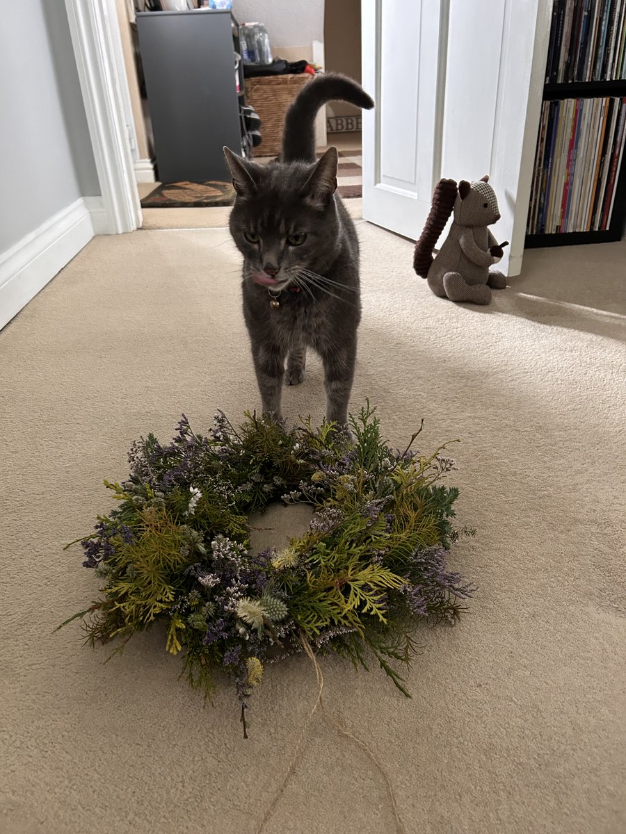 togetherwecanFR's tweet image. The Boss &amp;amp; Babs had a lovey afternoon yesterday at @gatherennerdale with Helen's Herbs making spring wreaths, thank you for such a relaxing afternoon out of the office!

#SpringVibes #WreathMaking #MindfulCrafting #SpringWreaths #WorkplaceWellbeing