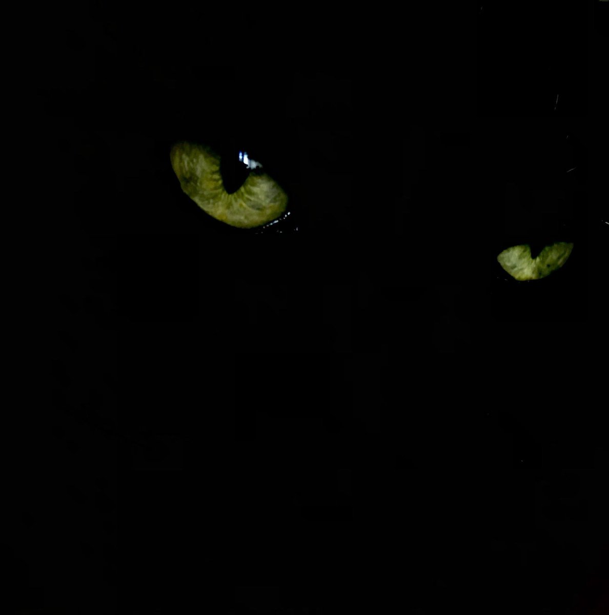 the culture 2.0 | magazine tweet media